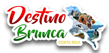 Inicio
