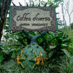 JARDÍN DE VARIEDADES COFFEA DIVERSA