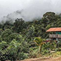 Finca y Café Favalo