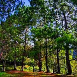 Gigantes Sendero
