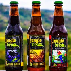 Jungle Brew Cervecería