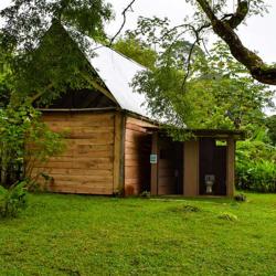 Paz y Flora