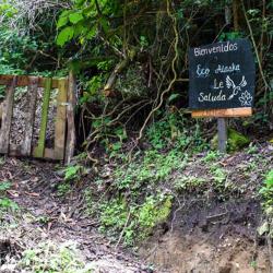  Senderos y Cataratas Eco Alaska