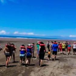 Bahía Ballena Tour