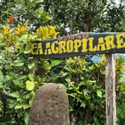 Finca Agroecológica Los Pilares