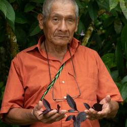 FRANCISCO RODRIGUEZ ATENCIO