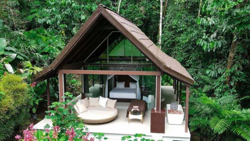Oxygen Jungle Villas