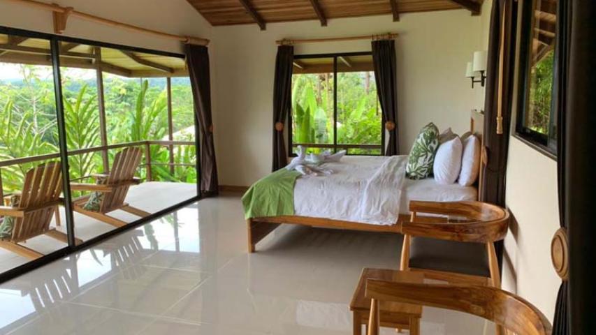 Drake Bay Green Leaf