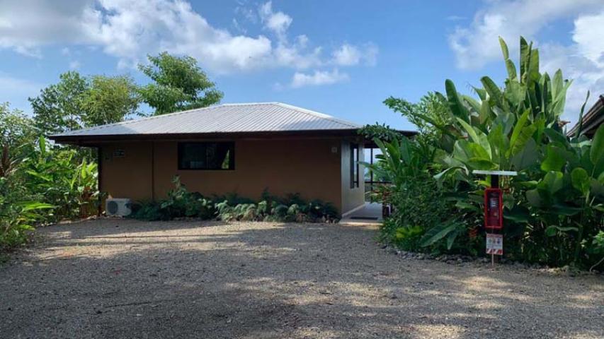 Drake Bay Green Leaf