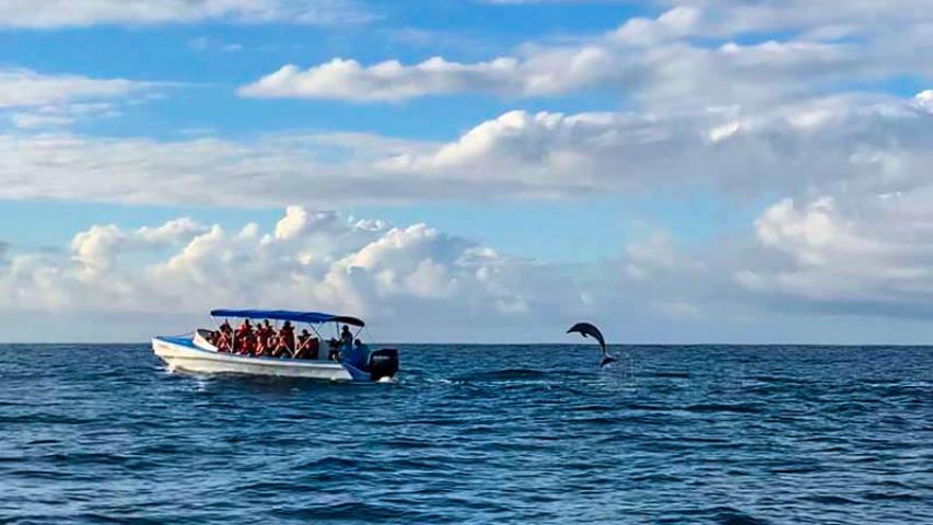 Isla Violin Eco Lodge