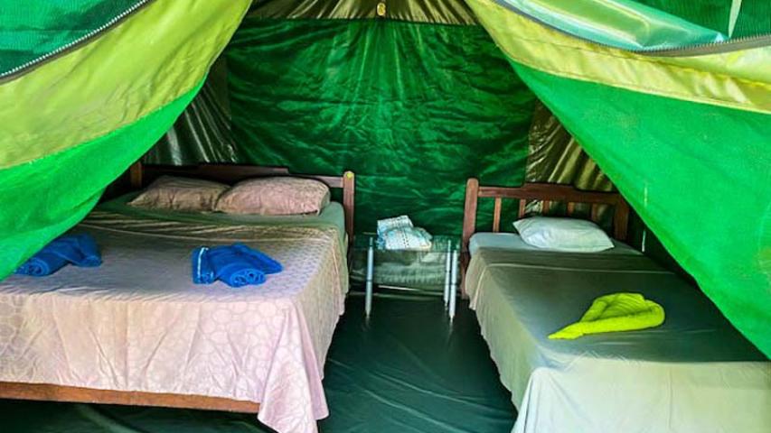 Corcovado Jungle Hostel