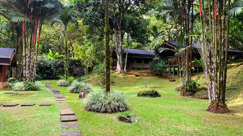 Rio Tico Safari Lodge