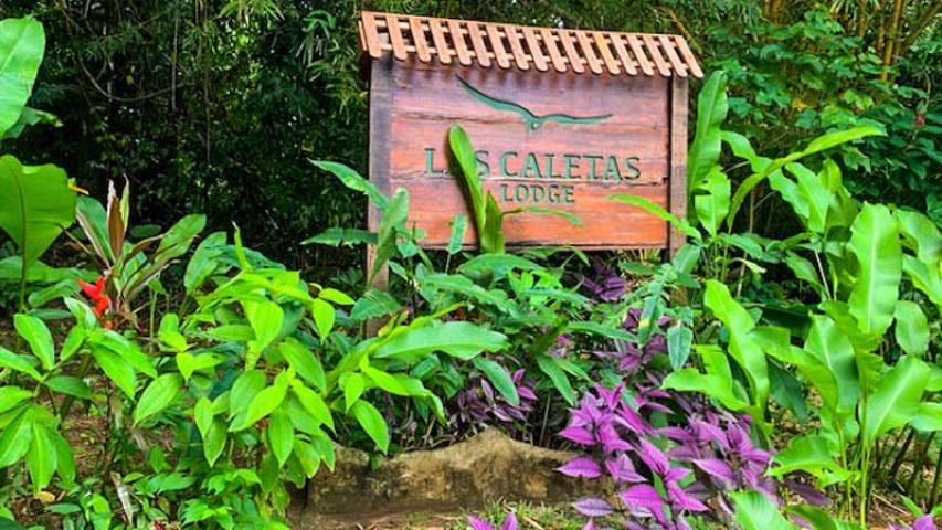Hotel Las Caletas Lodge