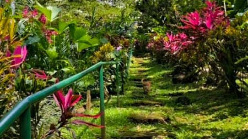 La Cascada de Ojochal