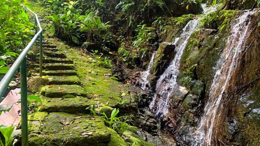 La Cascada de Ojochal