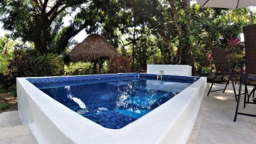 Hotel Diquis del Sur