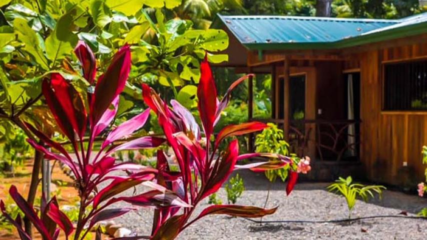 Hotel y Cabinas El Tecal