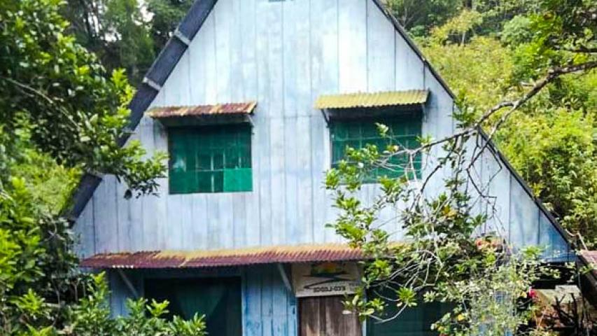 Isla Violin Eco Lodge