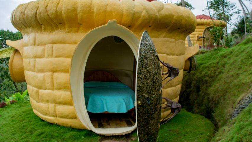 JARDÍN DE VARIEDADES COFFEA DIVERSA