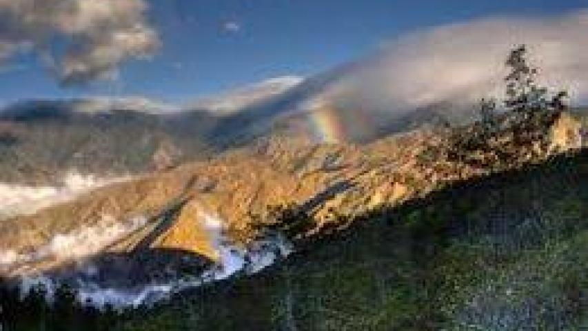 Cerro de La Muerte Pérez Zeledón