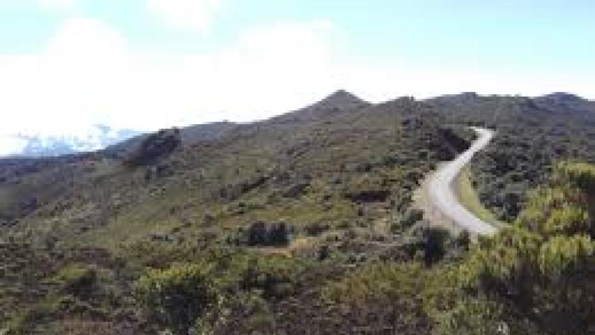 Cerro de La Muerte Pérez Zeledón