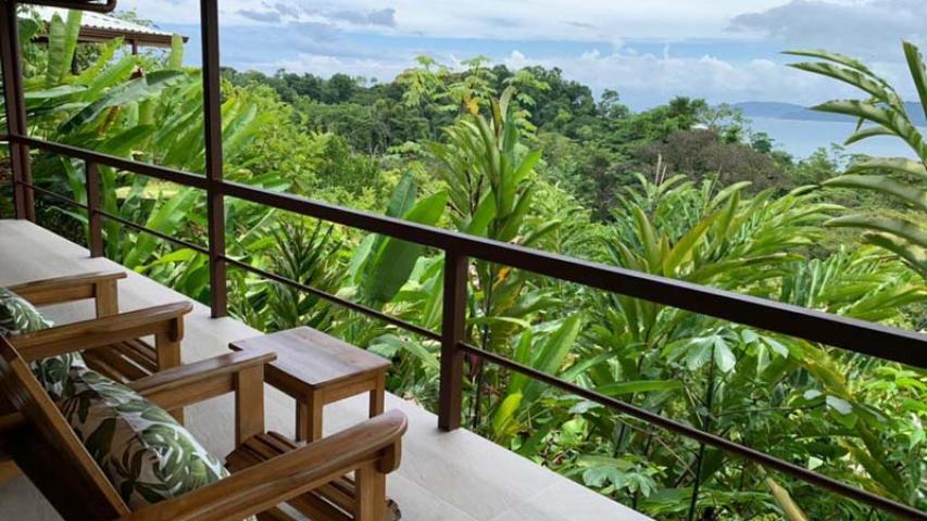 Drake Bay Green Leaf