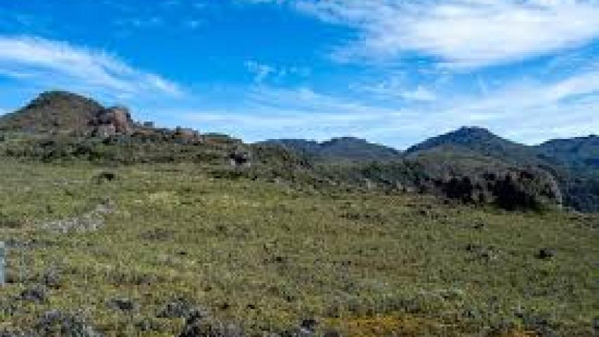 Cerro Pando Coto Brus