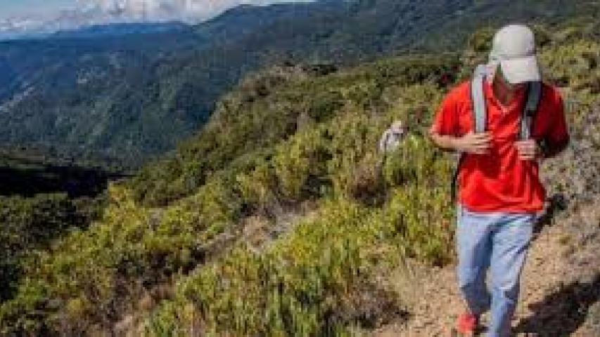 Cerro de La Muerte Pérez Zeledón