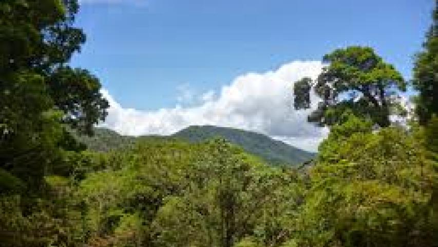 Cerro Pando Coto Brus