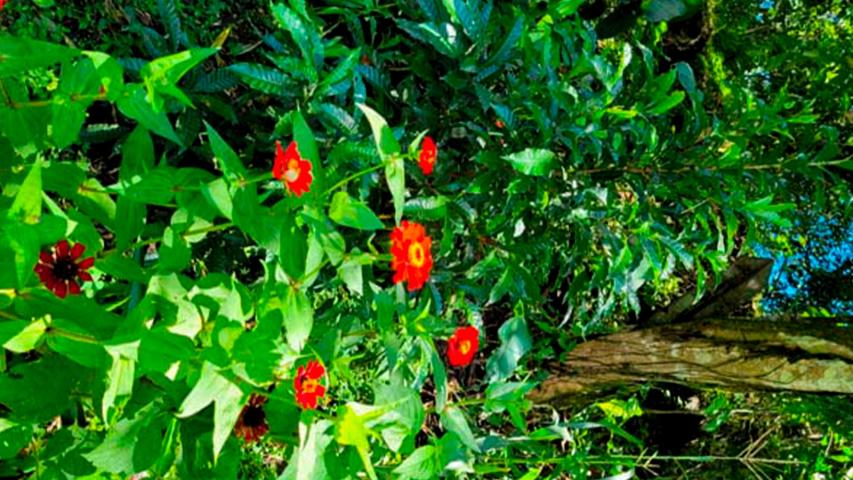 Posada Rural Tía Flory