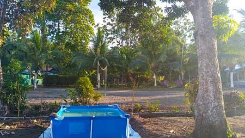 Cabinas Manglares del Golfo