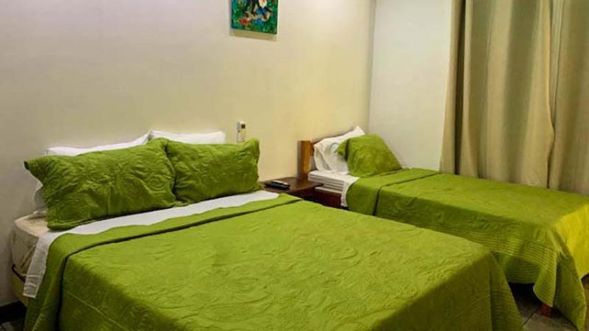 Hotel Hoja de Oro Corcovado