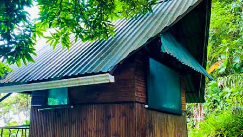 Ka Kau Jungle Cabins