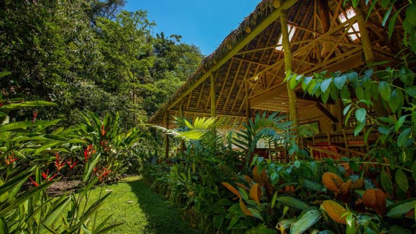 Esquinas Rainforest Lodge