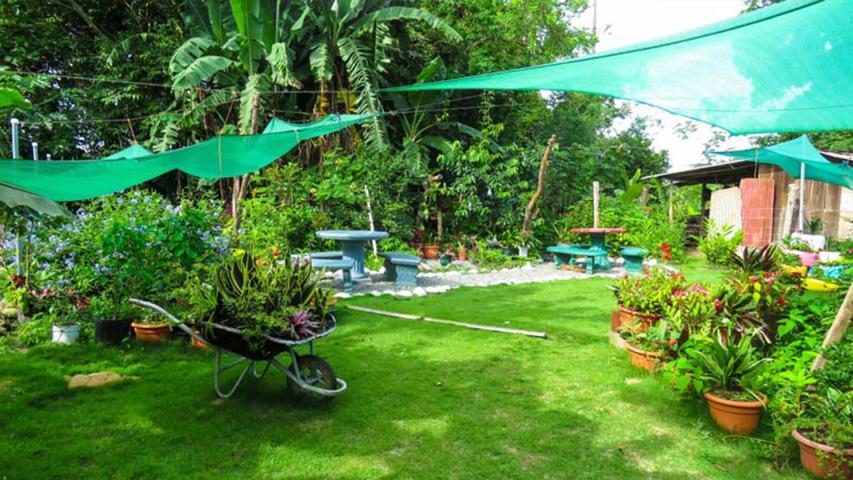 Cafetería Típica El Maná