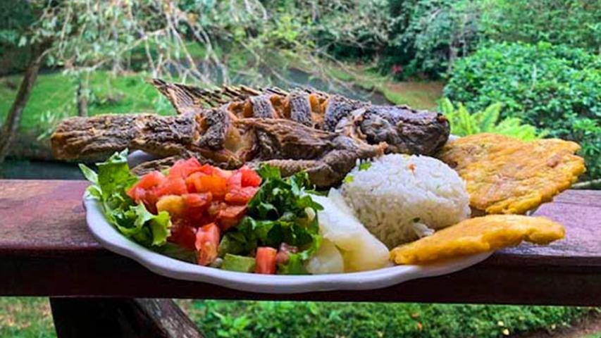Restaurante Tilapias El Pavón
