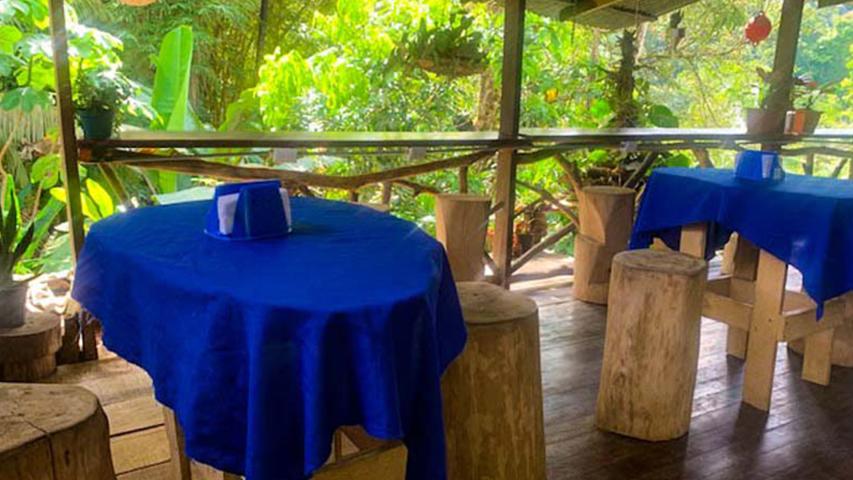 Nature Café