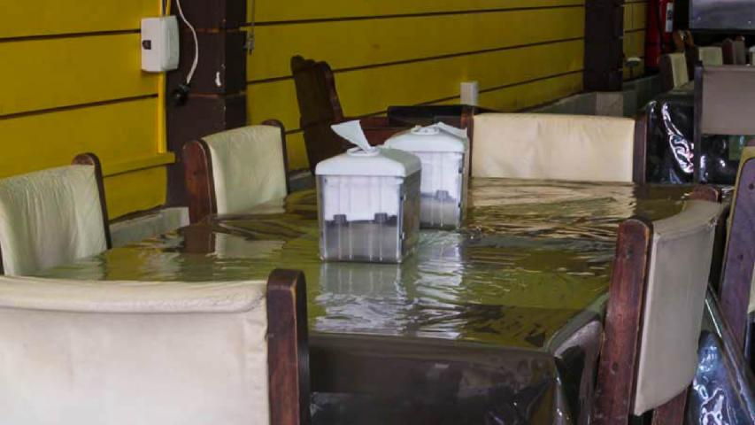 Tierra del Café