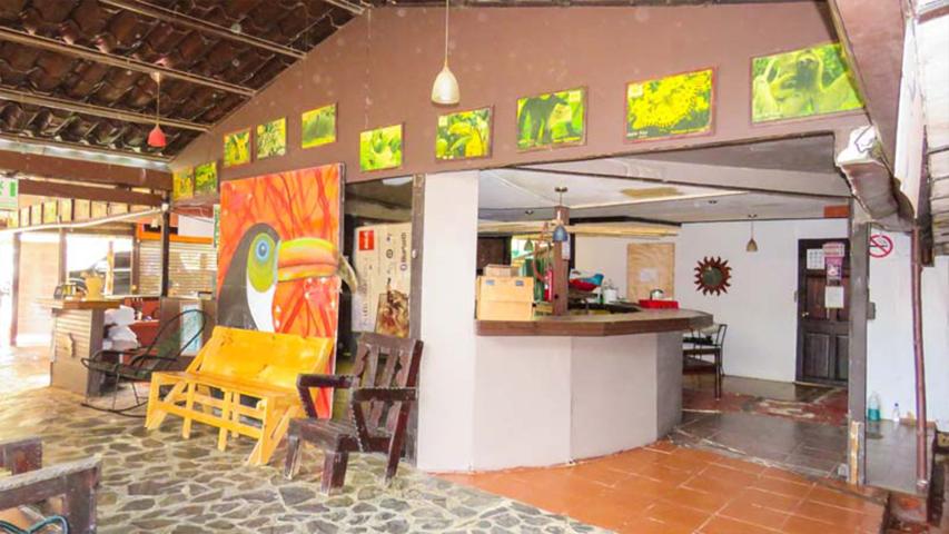 El Rincón de Domi