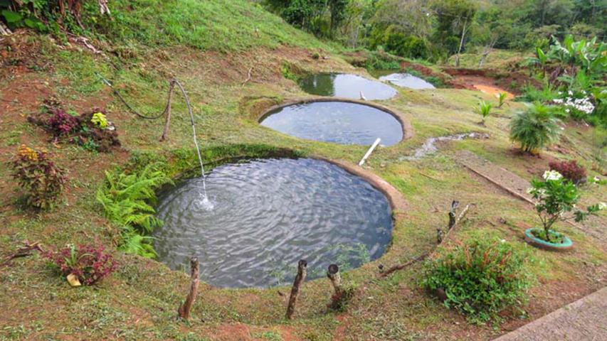 Rancho Rocal