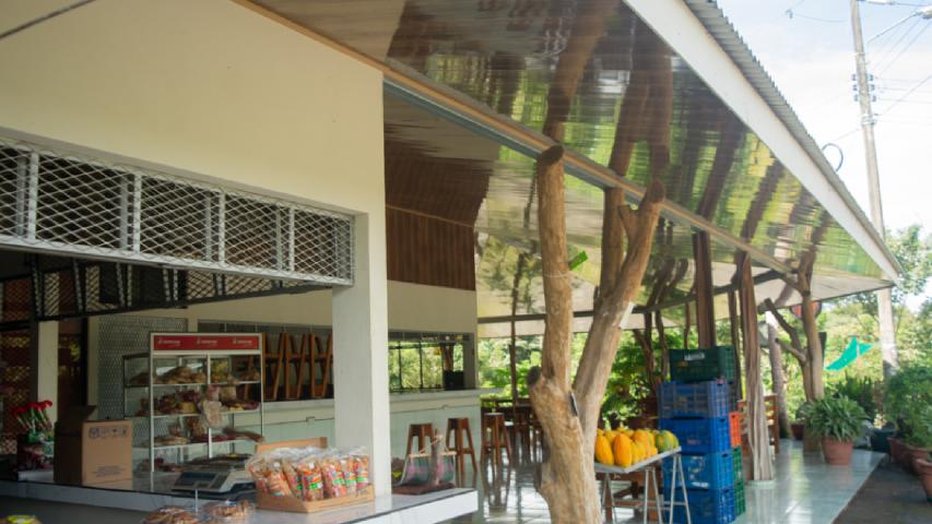 SODA GUACHIPELÍN