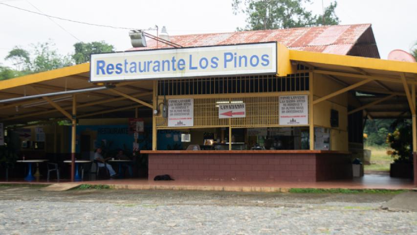 RESTAURANTE LOS PINOS