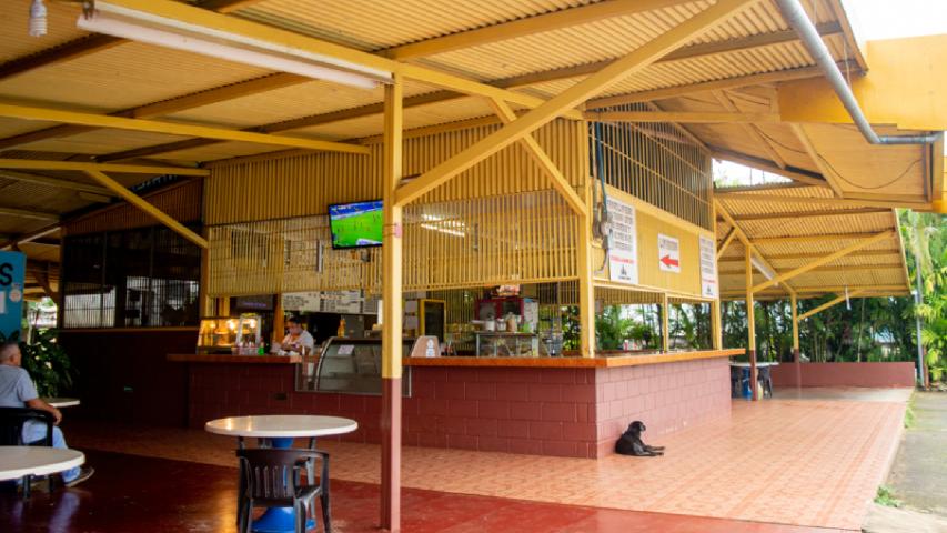 RESTAURANTE LOS PINOS