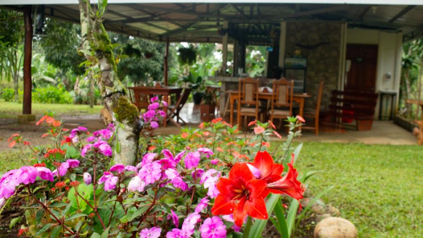 EL RINCON DEL CAFÉ