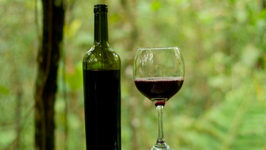 CERVECERÍA ARTESANAL BIOLLEY
