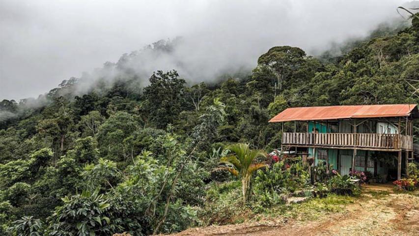 Finca y Café Favalo