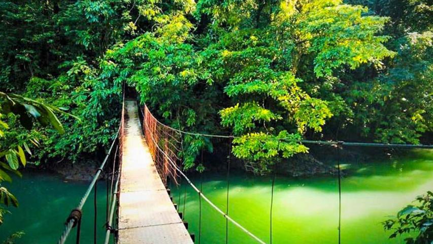 Pura Osa Expeditions