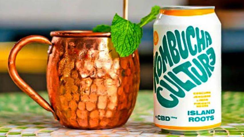Kombucha Culture