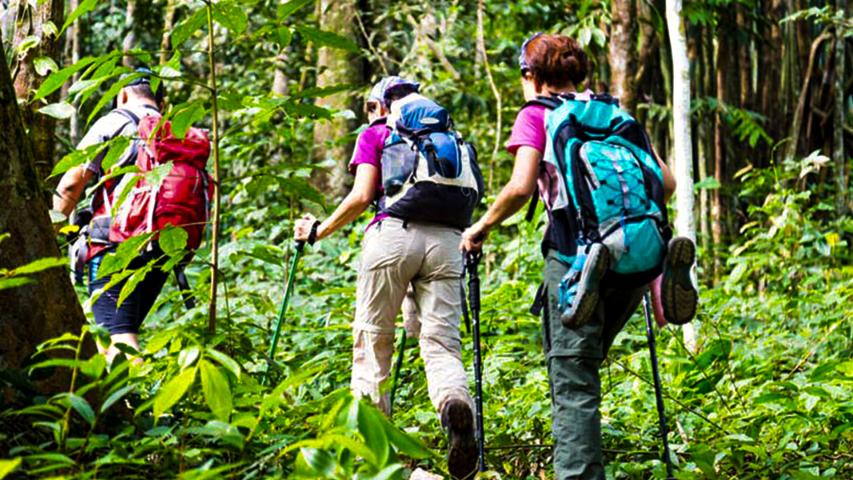 Wild Trails Adventures