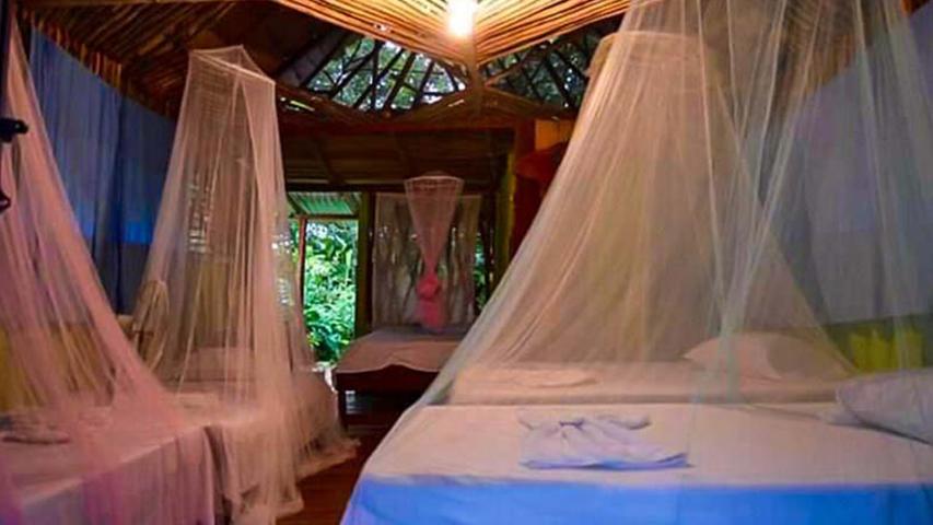 Agencia de Turismo Corazón de Osa